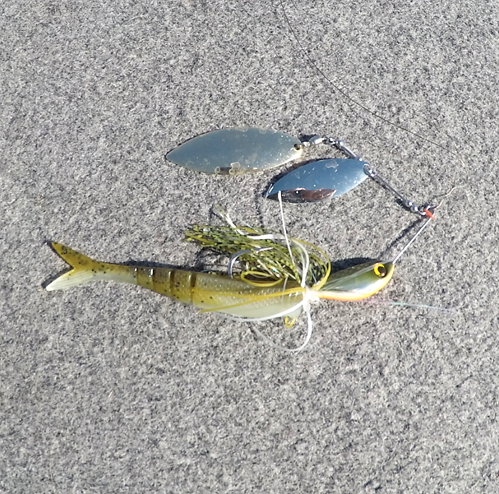Favorite Spinnerbait Brand / Series ? - Fishing Tackle - Bass Fishing Forums