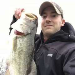 Catching Smallmouth with Spro BBZ1 Rat. 
