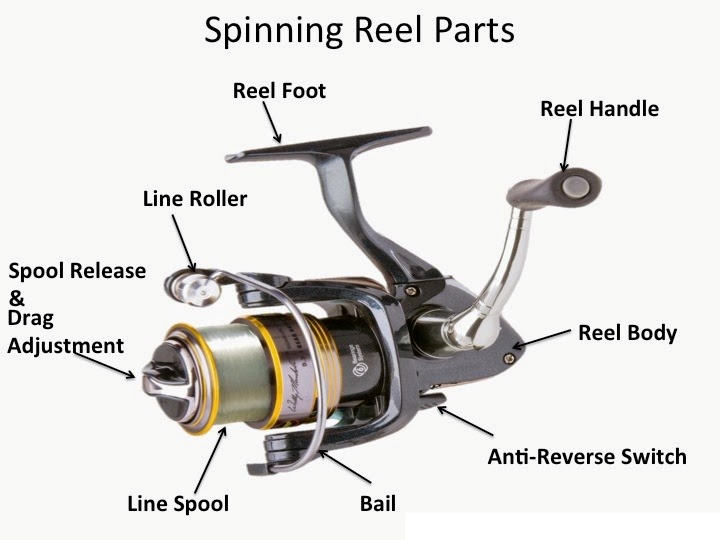 Pflueger President® Fenwick® Eagle® Spinning Fishing Rod and Reel Combo,  Medium, Anti-Reverse, 7-ft