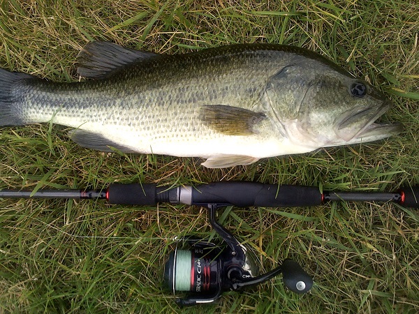 The Best Of The Old Ones - Fishing Rods, Reels, Line, and Knots - Bass  Fishing Forums