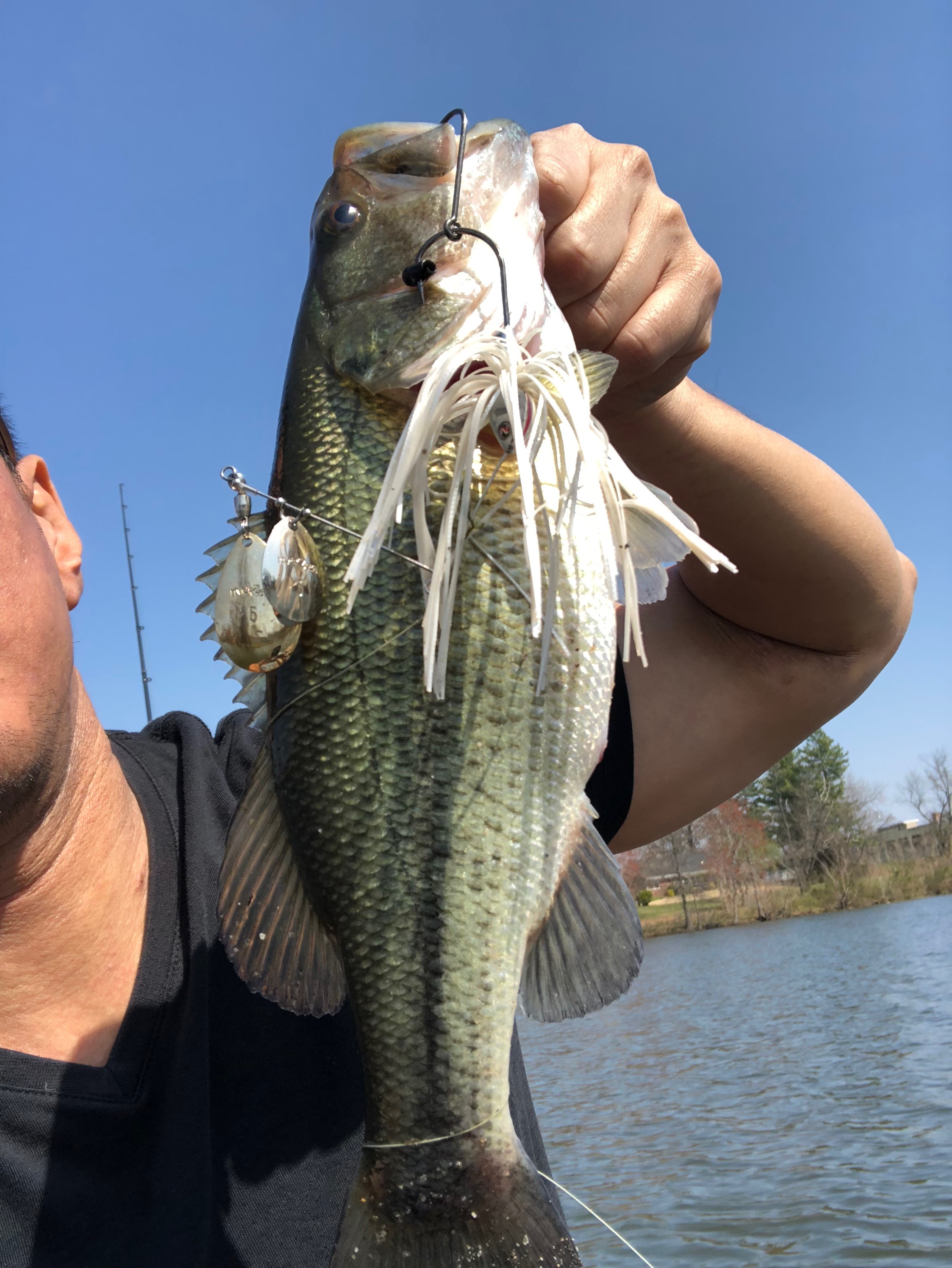 bass pro fishing jersey