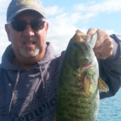 Gary Yamamoto senko - Fishing Tackle - Bass Fishing Forums