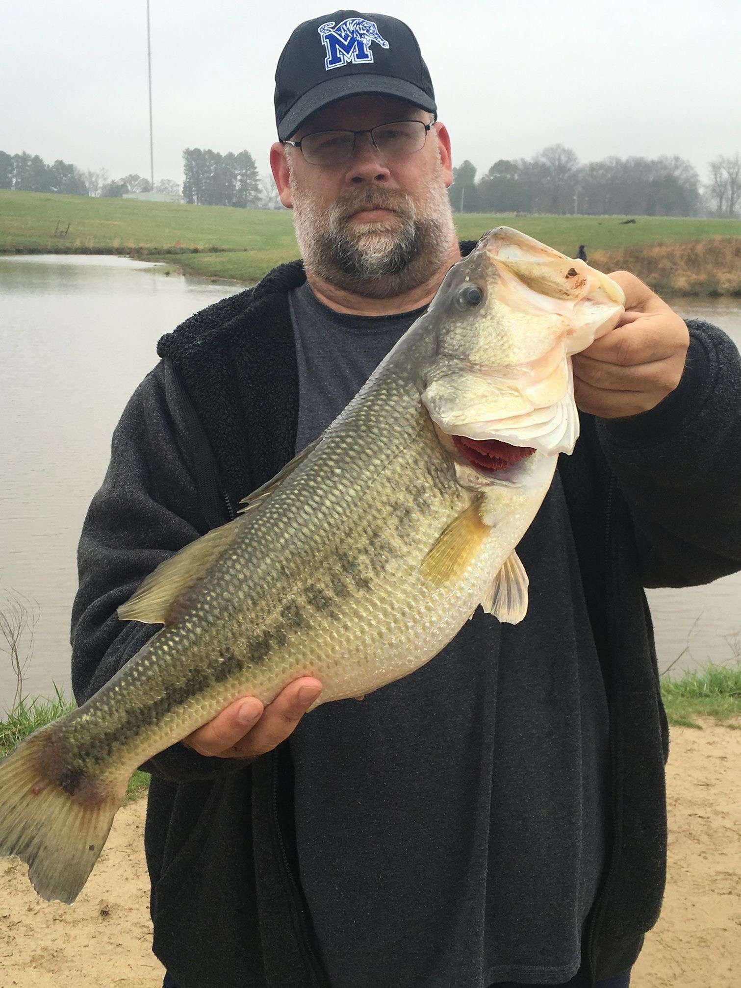 Memphis/Bartlett TN - Bank Bass Fishing - Southeast Bass Fishing - Bass Fishing Forums