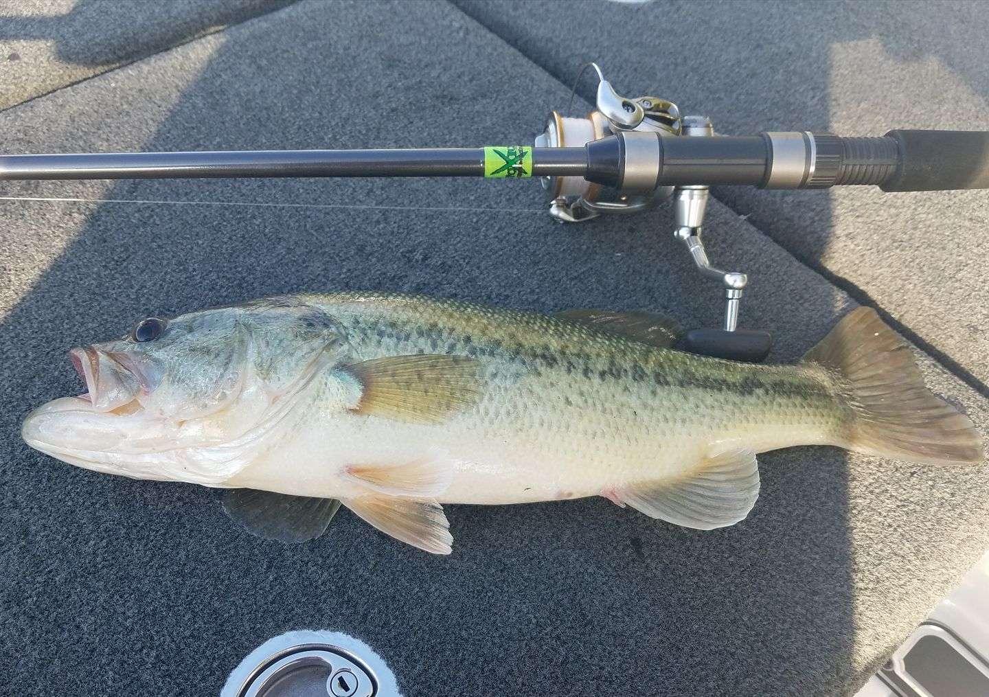 Your Current Shakey Head Set Up ? - Fishing Rods, Reels, Line, and Knots - Bass  Fishing Forums