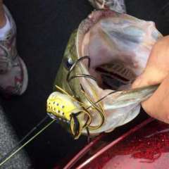Lure Rating Question - Fishing Rods, Reels, Line, and Knots - Bass Fishing  Forums