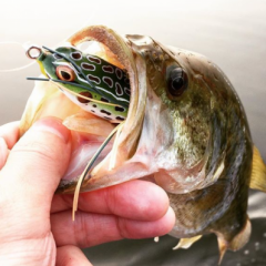 The Rod & Reel BALANCE Thread - Fishing Rods, Reels, Line, and Knots - Bass  Fishing Forums