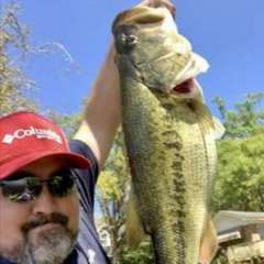 Are Shad Baitfish In This Lake? - General Bass Fishing Forum