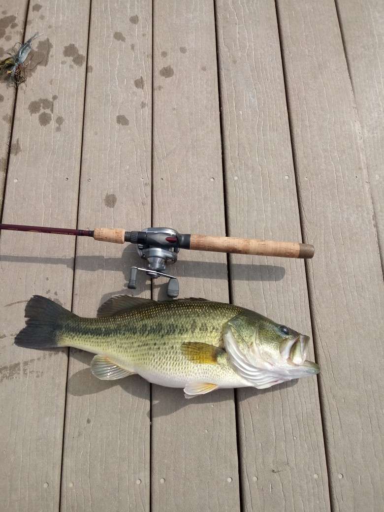 How to target bigger bass? - Fishing Tackle - Bass Fishing Forums