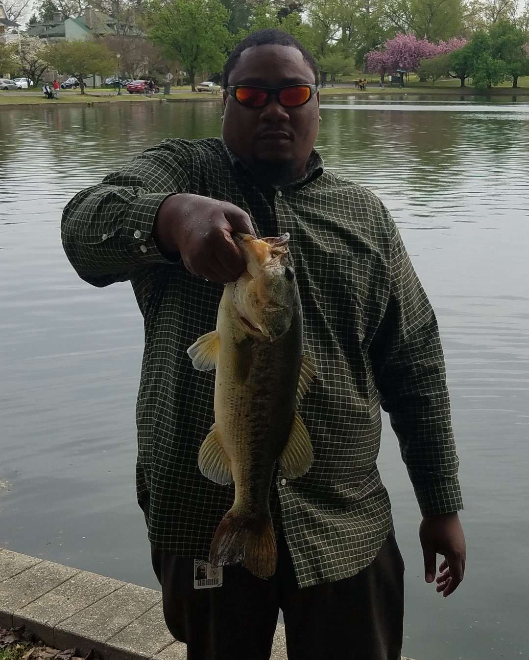 1st ever swimbait jackall ganteral jr - Fishing Tackle - Bass Fishing Forums