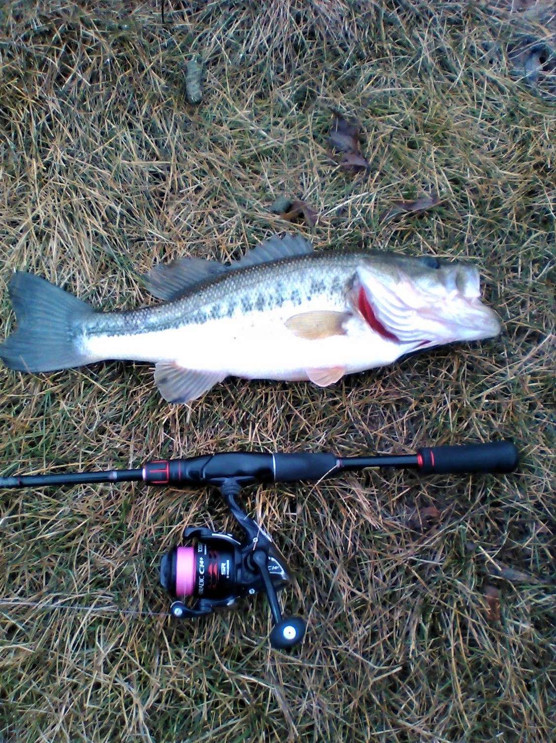 Ultralight Moderate Spinning Rod vs Ultralight Fast Spinning Rod - Fishing  Rods, Reels, Line, and Knots - Bass Fishing Forums