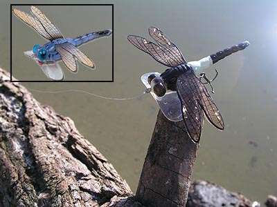 Lunkerhunt's Dragonfly - In-Fisherman