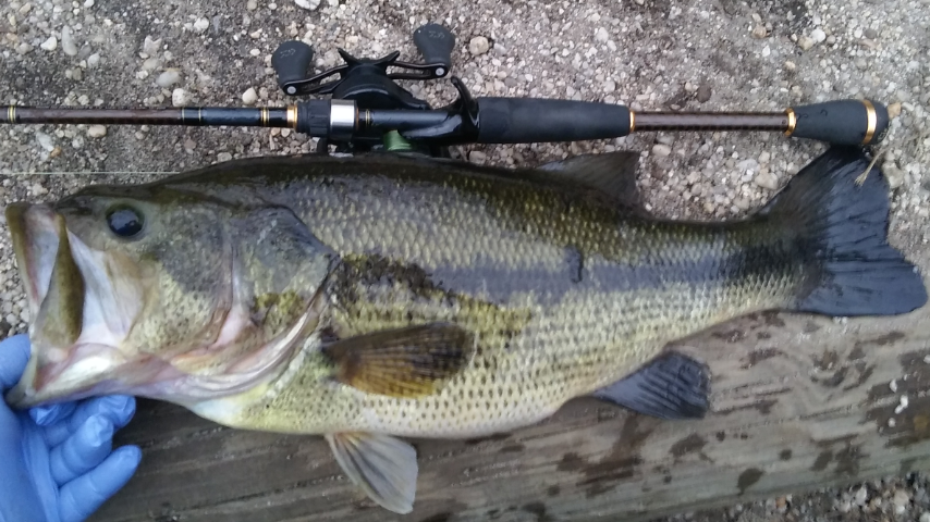 What is your fav setup? - Page 2 - Fishing Rods, Reels, Line, and Knots - Bass  Fishing Forums