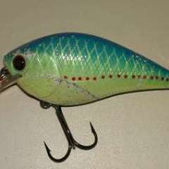 Floating Kreature Baits For Shakey-Heads? - Fishing Tackle - Bass Fishing  Forums