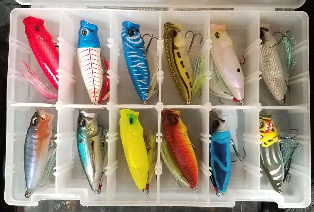 Rethinking Topwater Colors - Fishing Tackle - Bass Fishing Forums