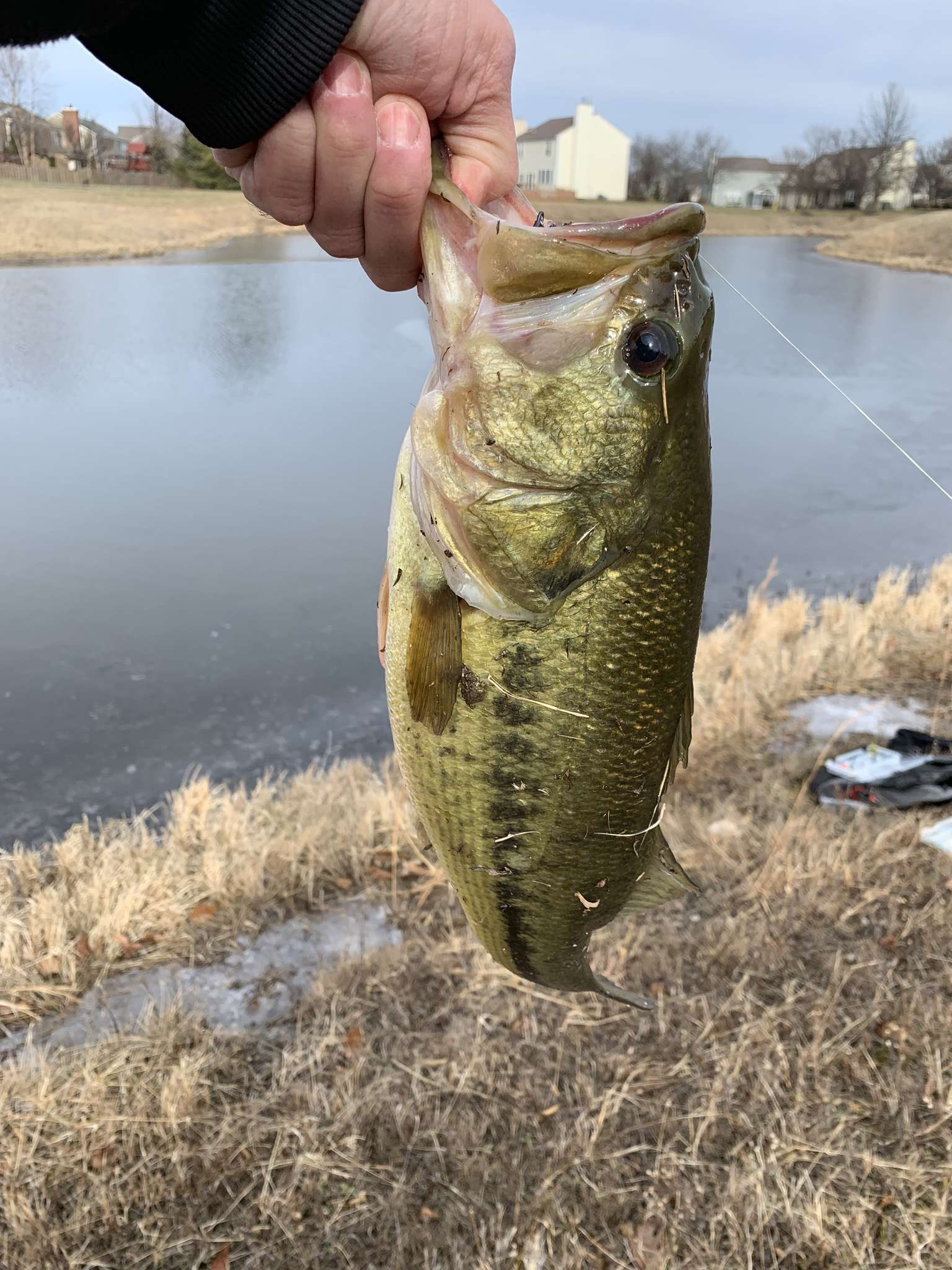 Winter Bass Fishing with Double Tail Grubs 
