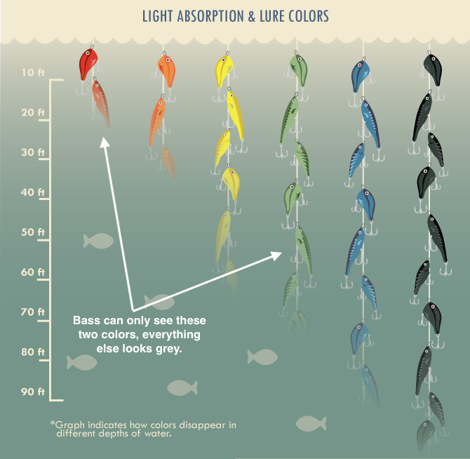 Best Fishing Lure Size (For Different Depths, Seasons, Etc)