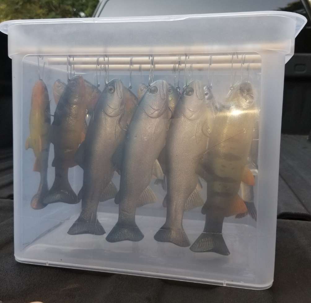 Baitcasters is a expensive addiction, and I love every second of it. :  r/Fishing_Gear