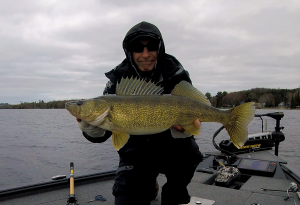 Walleye_1_(2).png