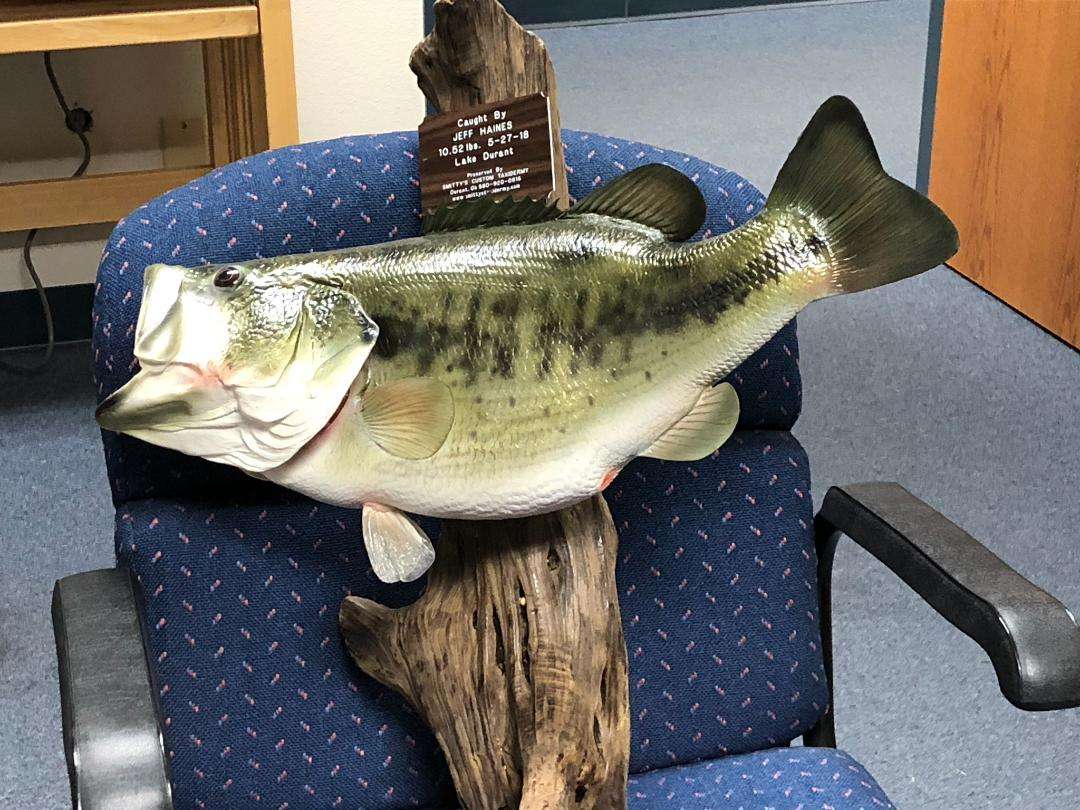 Ready to mount my 11.6 pb on the wall - Bass Fishing Forum 