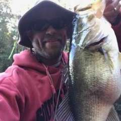 https://www.bassresource.com/bass-fishing-forums/uploads/monthly_2020_02/PB.thumb.jpg.1ae63db64cd5264a8a23b37a7ab5933a.jpg
