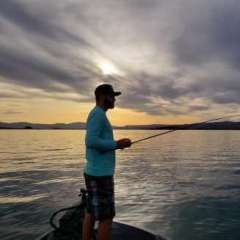 Dedicated Dropshot Rod - Fishing Rods, Reels, Line, and Knots - Bass  Fishing Forums
