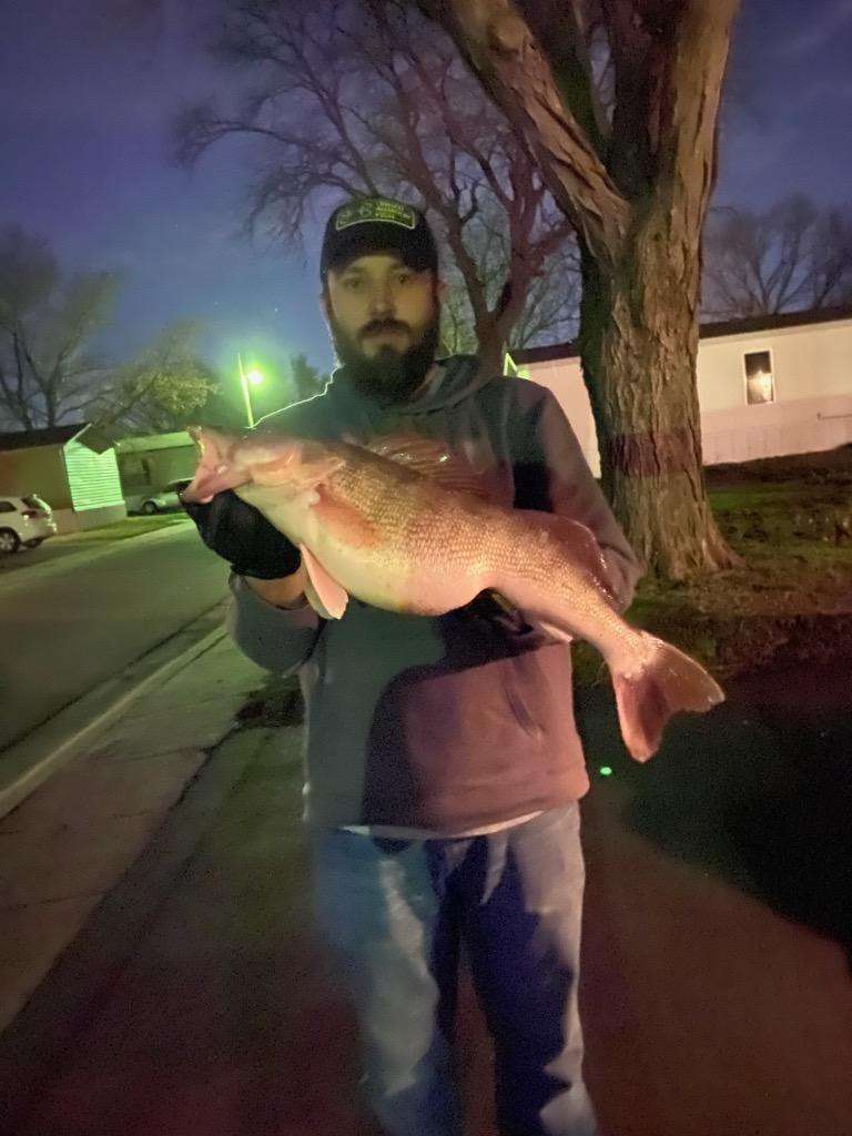 New PB Walleye - Other Fish Species - Bass Fishing Forums