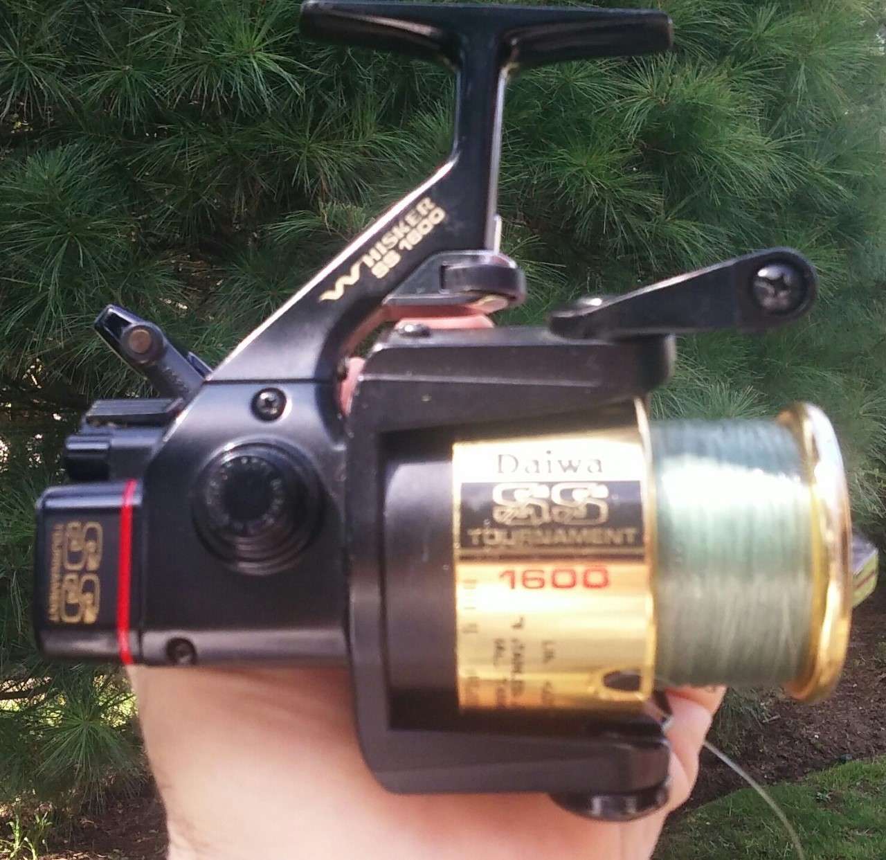 Southern California - Daiwa Tournament Whisker SS 1600 Spinning Reel, good  condition