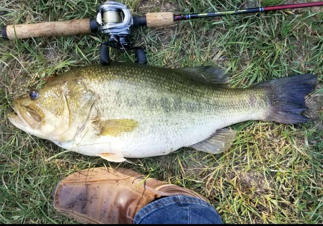 Berkley - Fishing Rods, Reels, Line, and Knots - Bass Fishing Forums