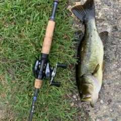 What line/rod to use for fluke fishing? - Fishing Rods, Reels, Line, and  Knots - Bass Fishing Forums