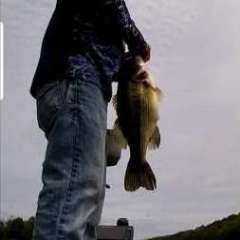 Got snagged on a boat dock and then realized I had a fish on. #bassf