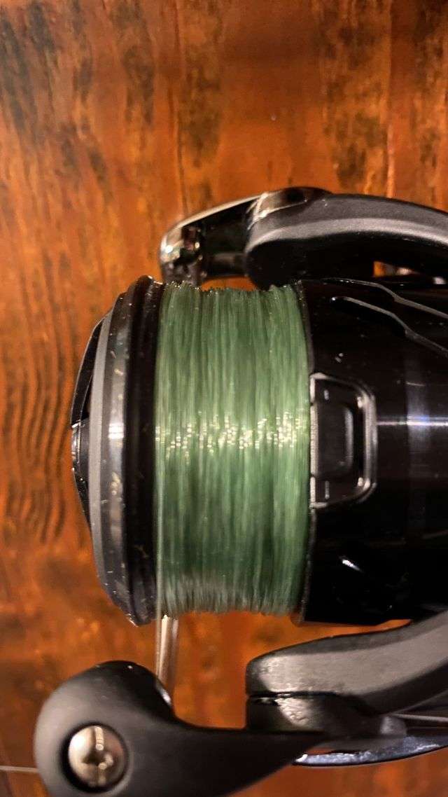 3) Stren Monofilament Fishing Line 10lb 100yds Green ~ New