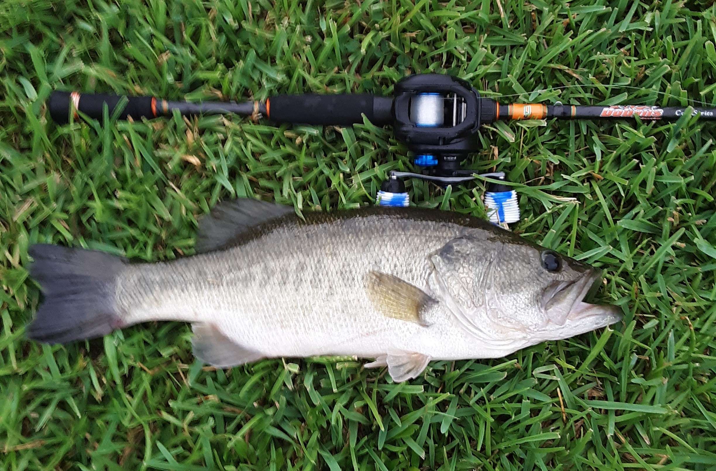 St. Croix Bass X Rods: Stronger, Lighter-and Affordable - The Fishing Wire