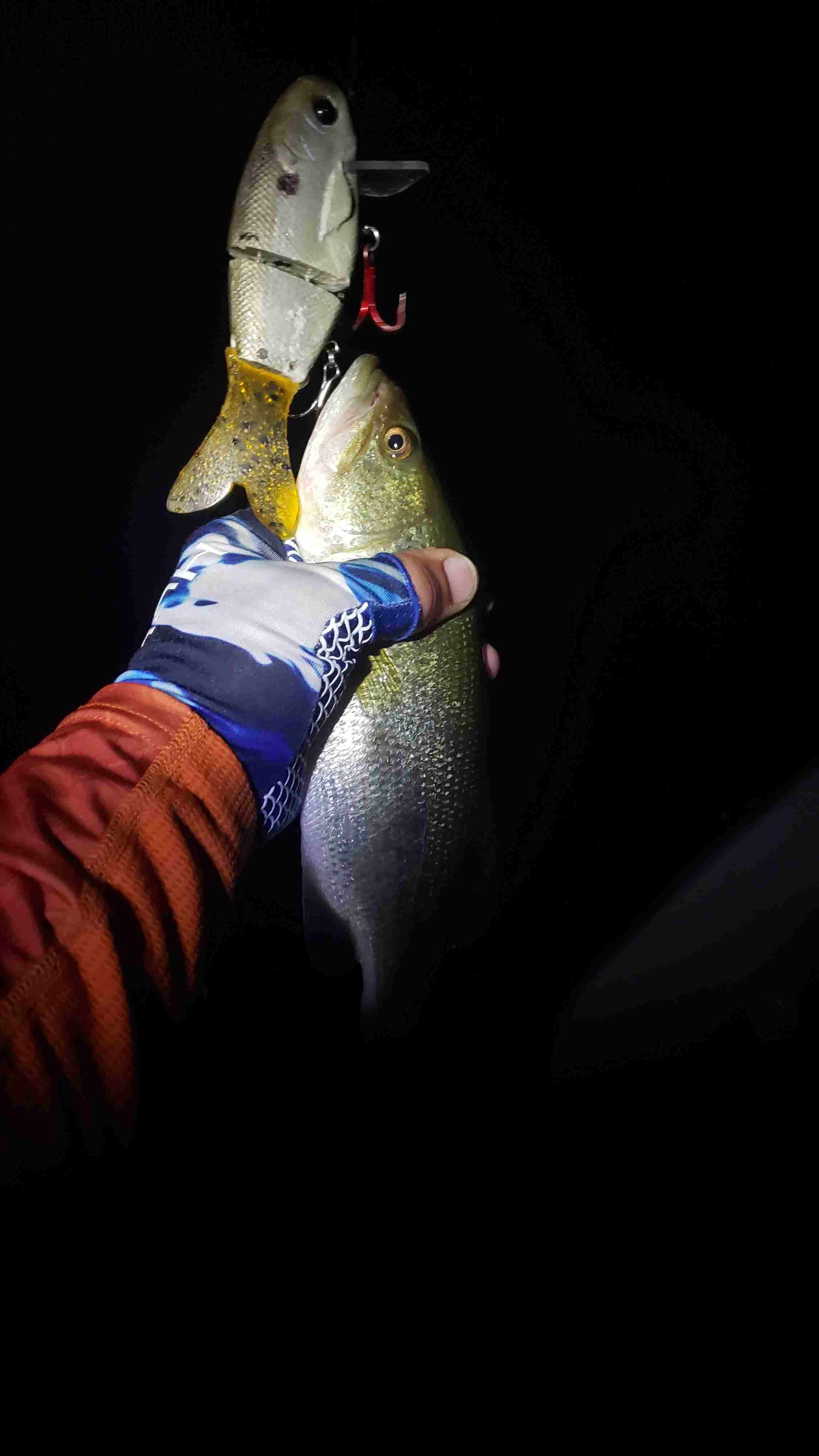 milliken_fishing with a HUGE smallie on the Crube 3.0🤯 Whether you'r