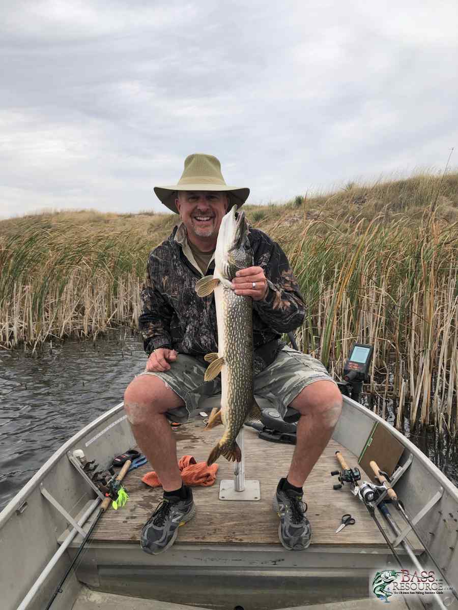 best leaders for pike fishing - Other Fish Species - Bass Fishing Forums