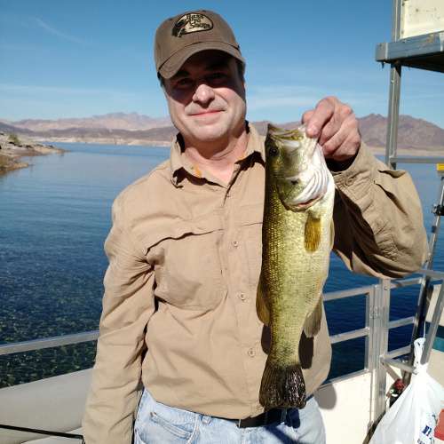 Striped Bass Fishing in San Joaquin Delta