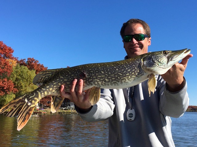best leaders for pike fishing - Other Fish Species - Bass Fishing