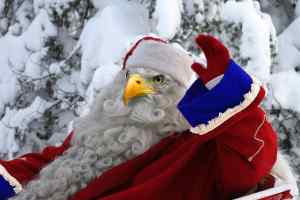 Eagle Santa ~