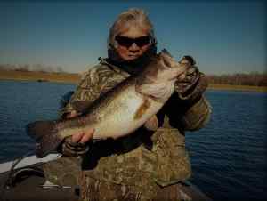 Sandy River Res~ Winter bass, caught on 8" swimbait