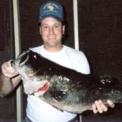 Favorite cheap hooks - Fishing Tackle - Bass Fishing Forums