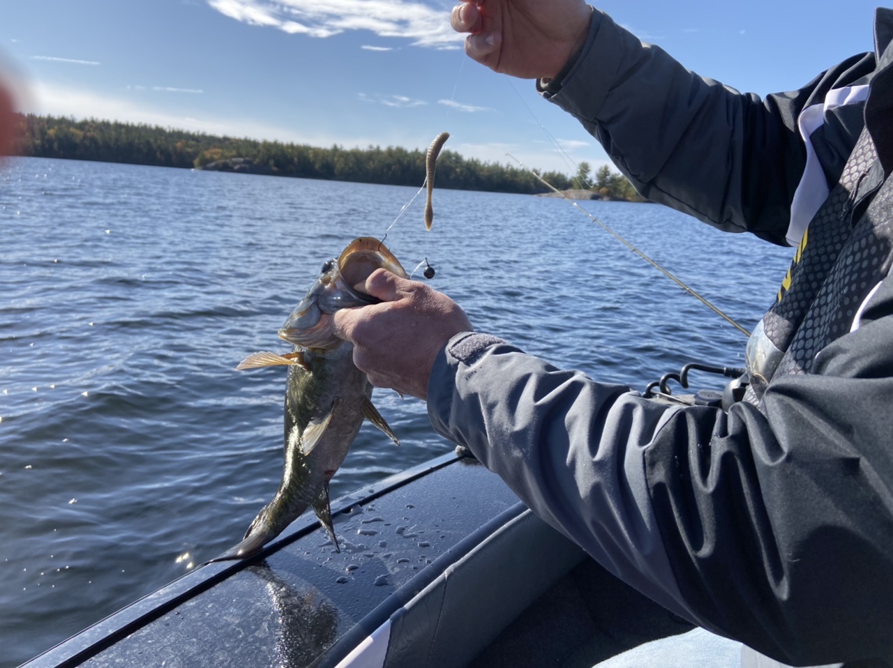 Drop Shot Walleye: Learn this Effective Fishing Technique