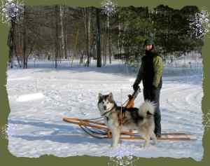 Sledding with Brody ~