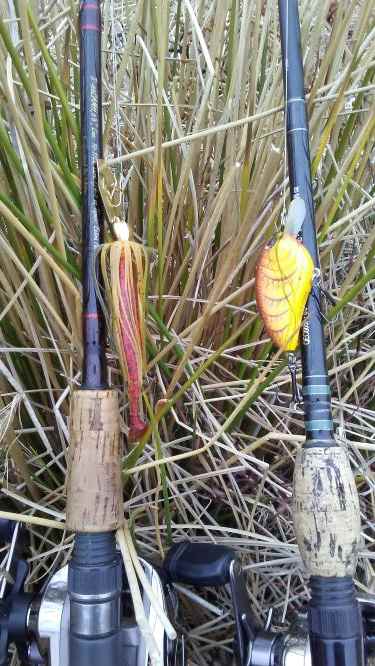 Which of these colors is best in murky water? - Fishing Tackle - Bass Fishing Forums