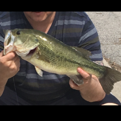 Soft Plastics Smell - Fishing Tackle - Bass Fishing Forums