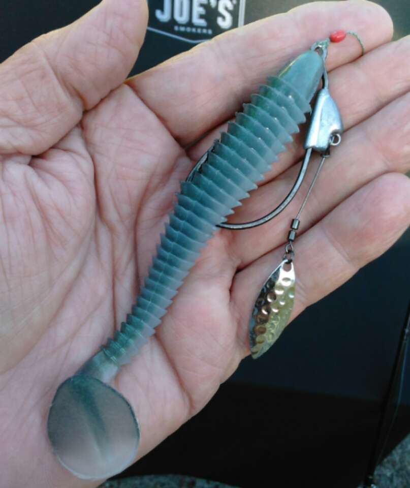 Best shad spawn baits - Fishing Tackle - Bass Fishing Forums