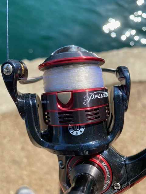 Pflueger President Loose Bail Spring - Fishing Rods, Reels, Line, and Knots  - Bass Fishing Forums