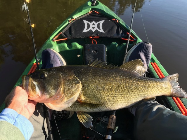 Is the misery of kayak fishing worth it? - Bass Boats, Canoes, Kayaks and  more - Bass Fishing Forums