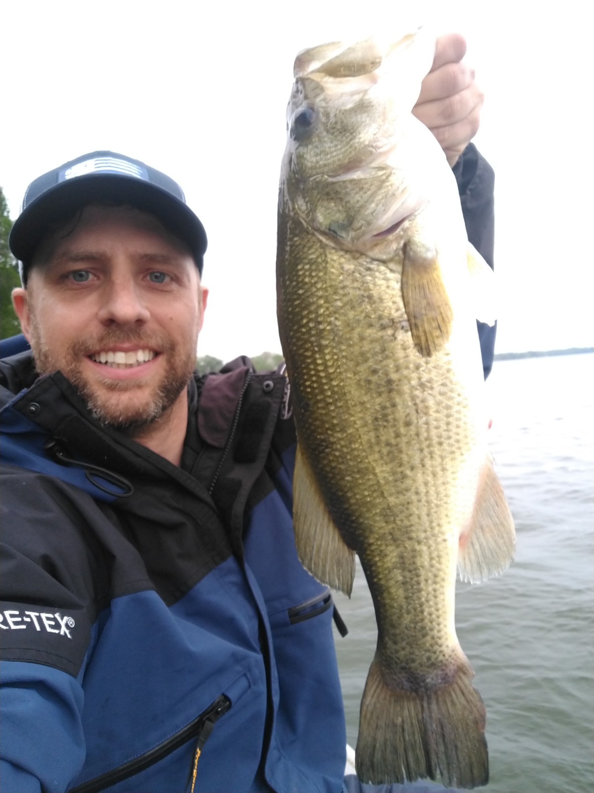 Big Swimbaits in Wisconsin? - Fishing Tackle - Bass Fishing Forums