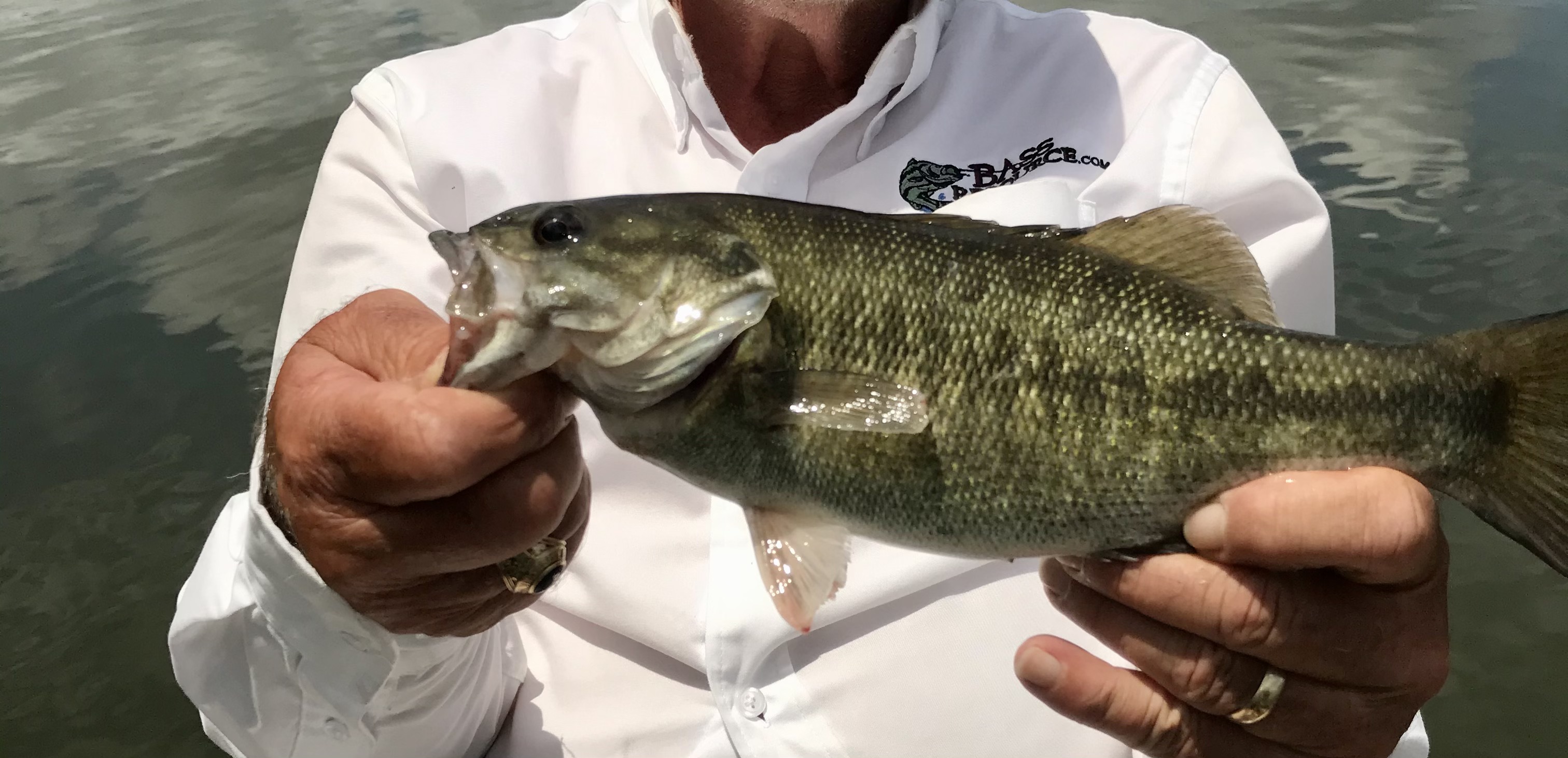 Meanmouth?? - Other Fish Species - Bass Fishing Forums