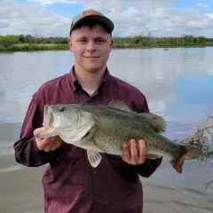 Shaky head craws - Fishing Tackle - Bass Fishing Forums