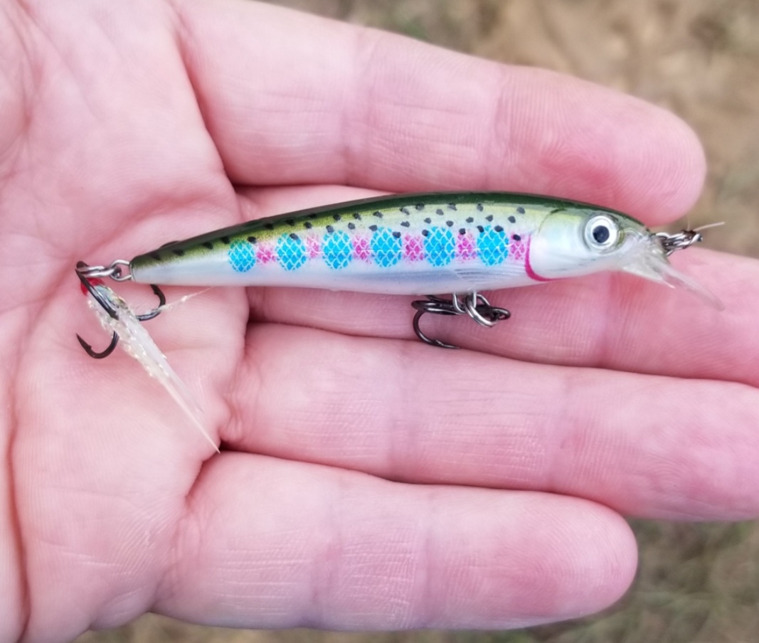 What lures best mimic mosquito fish? - Fishing Tackle - Bass